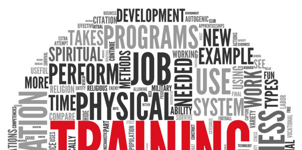 הכנה של תוכנית ליווי אינדיבידואלית