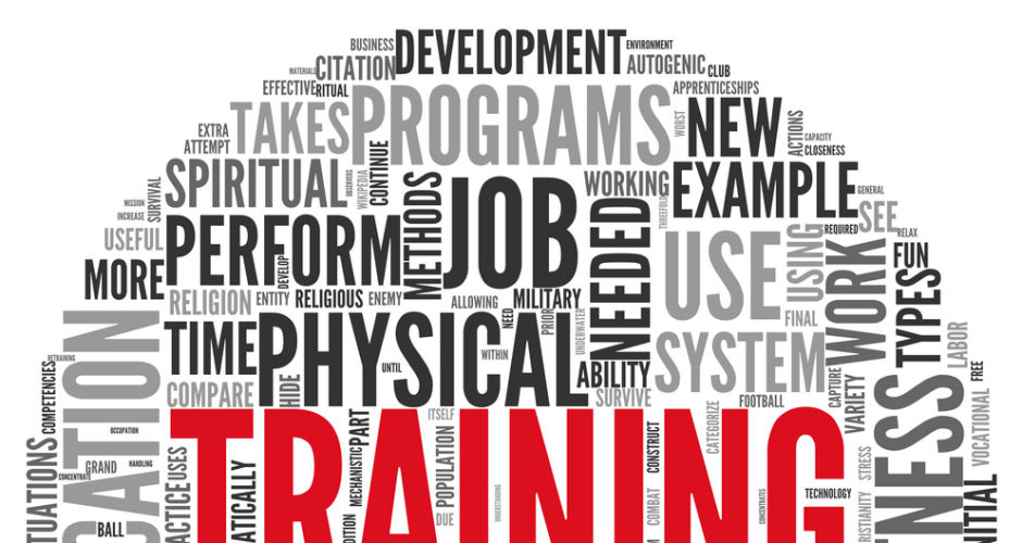 הכנה של תוכנית ליווי אינדיבידואלית